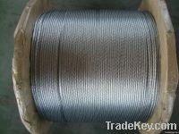 Galvanized steel wire rope