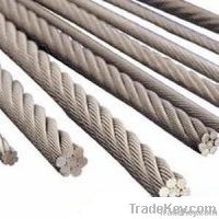 Galvanized and Ungalvanized steel wire rope