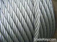 Galvanized and Ungalvanized steel wire rope