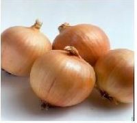 golden onion