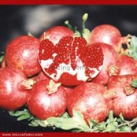 pomegranate