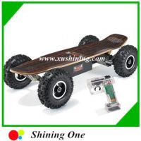 800w Electric Skateboard