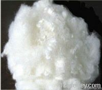 Polyester Staple Fiber