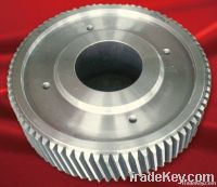 Spur Gear