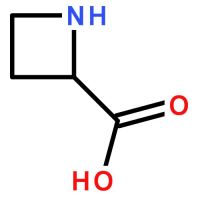 DL-Azetidine-2-carboxylic acid