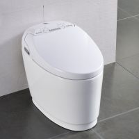 Whole Price 220V One Piece Smart Toilet Floor Mounted Intelligent Clos
