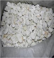 deglutinated Bone