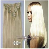 European Virgin Hair Clip In Hair Extensions