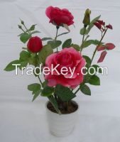 artificial flower, artificial plant