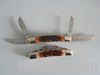 Pocket Knife With Ox-born Handle