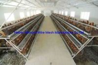 Chciken Coop Broiler Cage