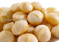 Raw Macadamia Kernel