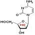 2'-Amino-Nucleosides