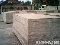 Packaging Grade Plywood