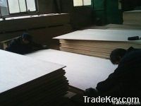 Triplay Poplar