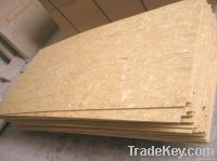OSB Forte
