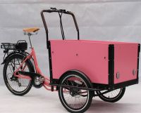 Electric Cargo Trikes tricycle pedicab electric trike From China