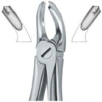 Excellent Quality Extracting Forceps