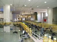 Automatic  PET Bottle/Glass bottle vegetable oil filling capping Machine manufacture From China