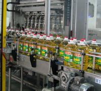 Carton Packing;  Case Packer