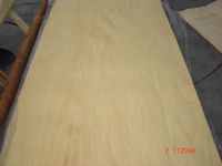 Rotary  Veneer