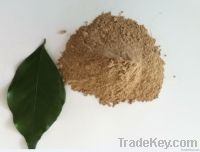 Sodium bentonite(for various use, CNPC and Sinopec Group supplier)