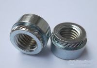 Rivet Nut