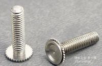 Non Standard Screw