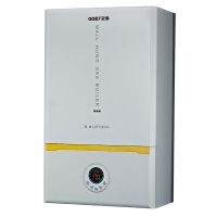 Hot Sale High Efficiency Wall Hung Natural Gas Boiler for Home