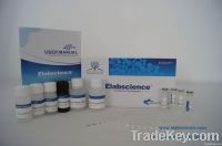 Human LEP Elisa kit