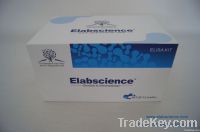 Mouse FSH Elisa kit