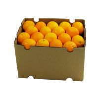 Fresh South Africa Fruit 15kg carton Peaches, Apricot, Pears, Avocado, Mango, Pineapple, Water Melon, Oranges Valencia, Fruit grape exporters