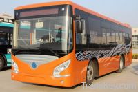 City Bus