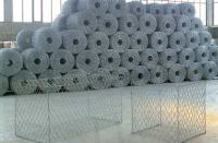 Gabion mesh