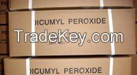 Dicumyl Peroxide DCP 99% 