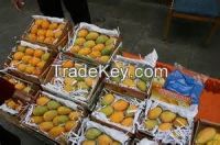 High  quality  Mango Fruit
