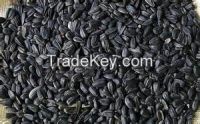 High quality  Sunflower seeds 