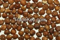 High  quality  Macadamia Nuts 
