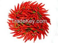 High  quality  yiduhong chili