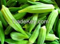 High quality  okra