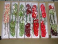 High  quality  fresh  cut  anthuriums