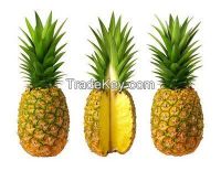 High  quality   Fresh Pineapple