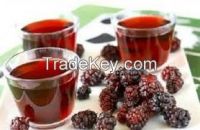High  quality  Mulberry Juice Concentrate