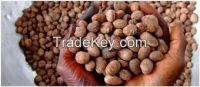 High  quality   karite nuts 