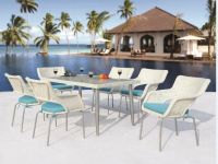 Rattan Outdoor Dining Set (VF4022)