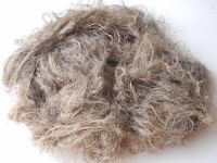 Flax fiber