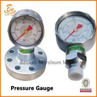 Pressure Gauge