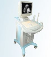 full digital B/W ultrasound scanner