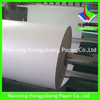 biodegradable double side pe coated paper