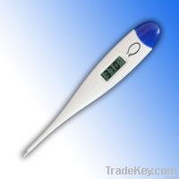 Digital thermometer